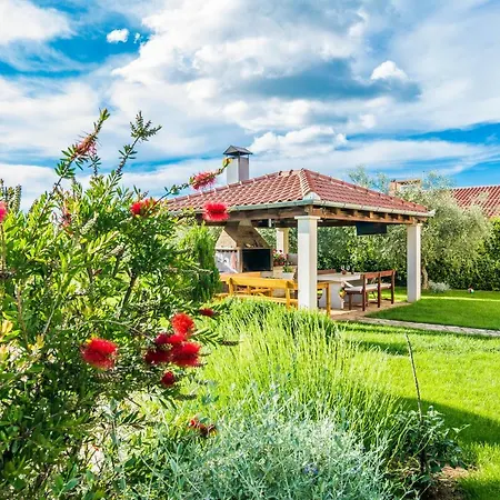 Apartment Albi Zaton (Zadar)